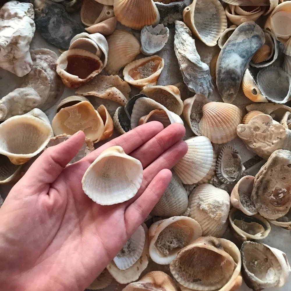 Custom shell bundle — PLEASE READ - Picture 10 of 16